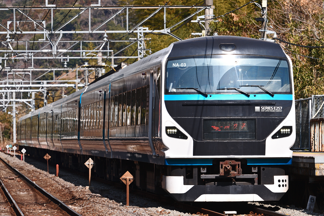 特急踊り子 E257 伊豆多賀駅