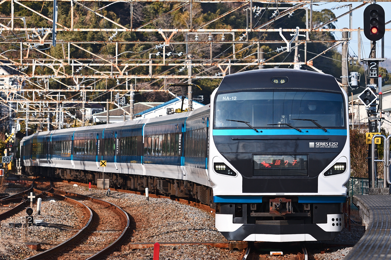 特急踊り子 E257 伊東駅