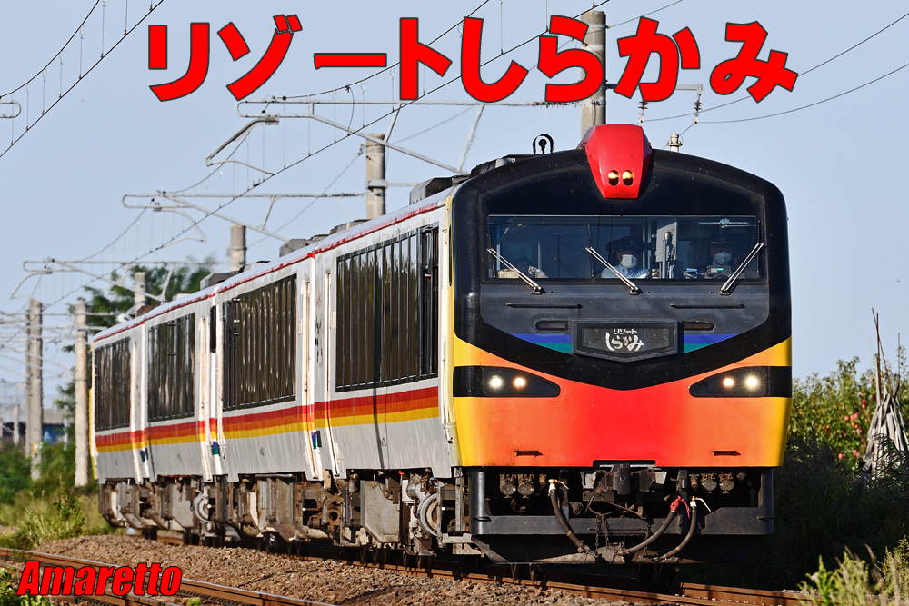 リゾートしらかみ くまげら・橅・青池