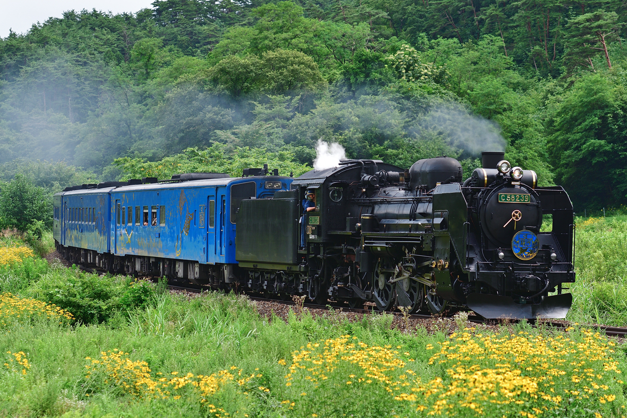 SL銀河 釜石線 C58形蒸気機関車
