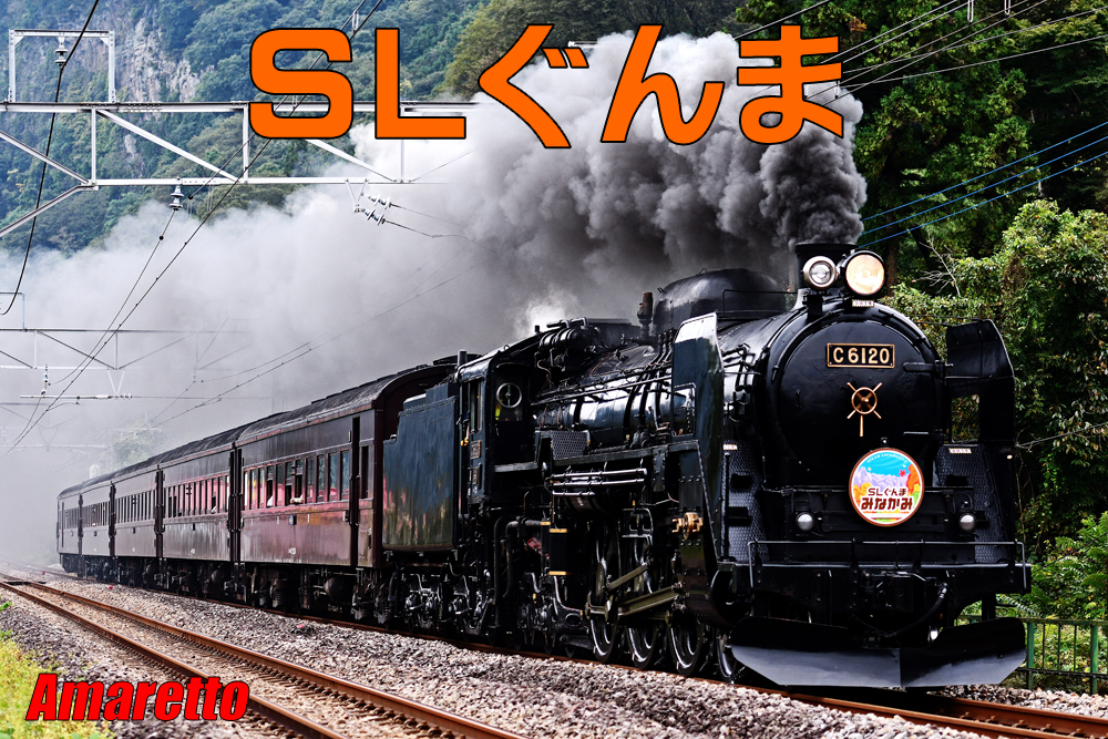 JR東日本 SLぐんま・みなかみ・よこかわ