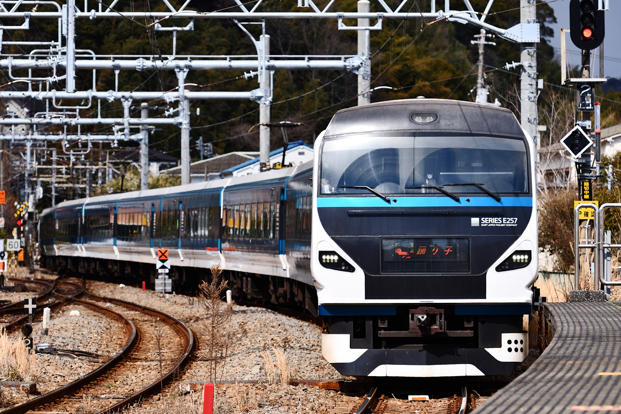 特急踊り子 E257系 伊東駅